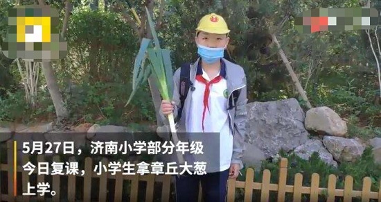 山东小学生复课带大葱什么情况 背后的寓意曝光网友笑坏了