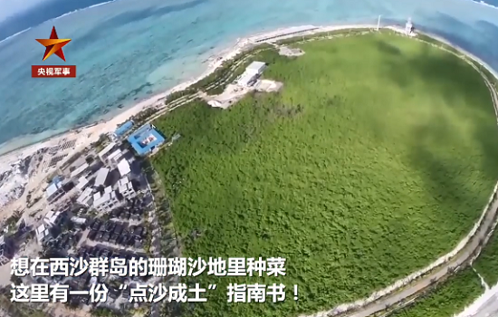 西沙战士在盐碱沙地种出蔬菜 “点沙成土”技能太厉害了！