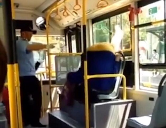 老人乘车拒扫健康码从窗口翻进 现场画面曝光网友的评论亮了 老人乘车拒扫健康码从窗口翻进 现场画面曝光网友的评论亮了