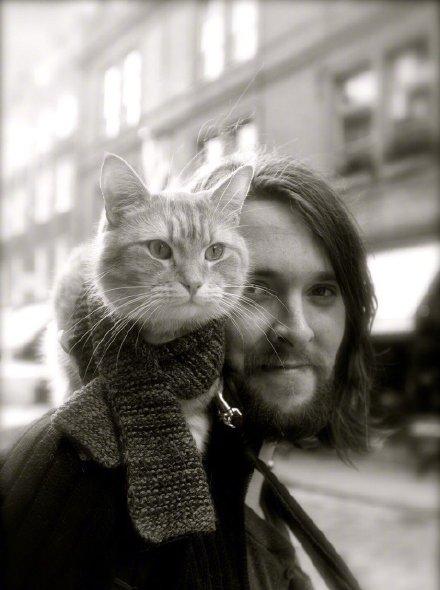 流浪猫鲍勃去世 一只猫背后的感人故事 流浪猫鲍勃去世 一只猫背后的感人故事