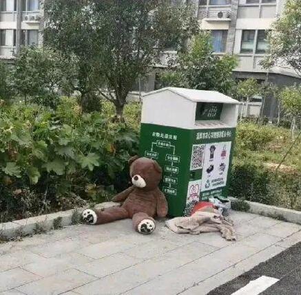 医学院被遗弃的小熊火了 小熊被遗弃背后的故事让人泪目 医学院被遗弃的小熊火了 小熊被遗弃背后的故事让人泪目