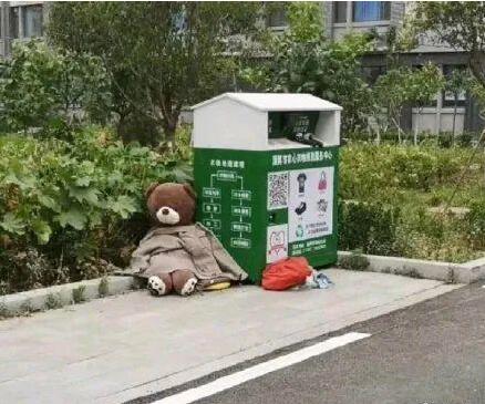 医学院被遗弃的小熊火了 小熊被遗弃背后的故事让人泪目 医学院被遗弃的小熊火了 小熊被遗弃背后的故事让人泪目