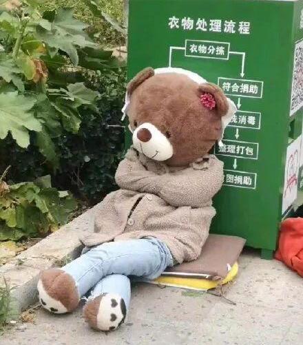 医学院被遗弃的小熊火了 小熊被遗弃背后的故事让人泪目 医学院被遗弃的小熊火了 小熊被遗弃背后的故事让人泪目