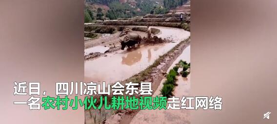 乘风破浪的耕地小伙什么情况 现场画面曝光网友的评论亮了 乘风破浪的耕地小伙什么情况 现场画面曝光网友的评论亮了