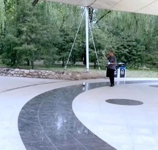 章泽天公园学大爷抽陀螺 章泽天刘强东近况曝光