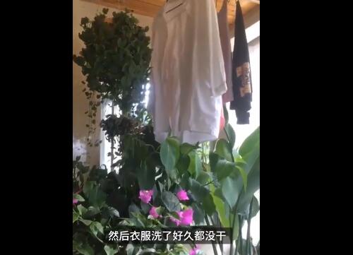 神仙阳台房主衣服晾1个月未干 现场画面曝光如同仙境一般