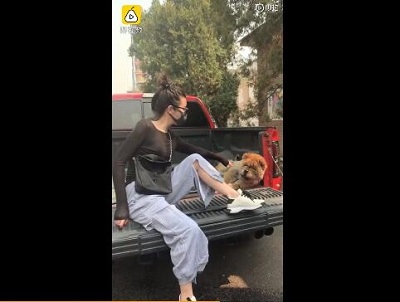 女子花2千为去世爱犬办告别仪式 现场画面曝光网友争议不断 女子花2千为去世爱犬办告别仪式 现场画面曝光网友争议不断