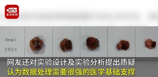 又有2名小学生研究喝茶抗癌获奖 小学生研究癌症论文一等奖被撤销