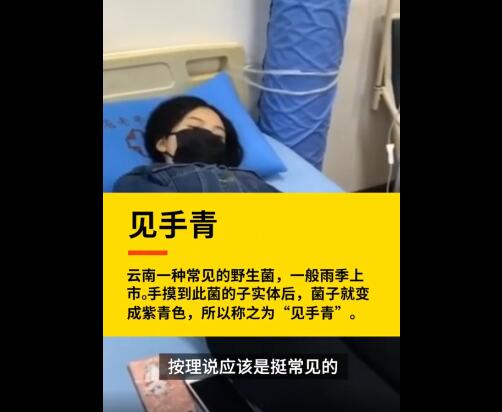 云南女子吃野生菌后看到小精灵 事情真相曝光让人惊愕