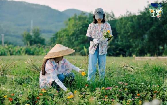 张子枫欧阳娜娜友情 张子枫和欧阳娜娜关系为什么这么好