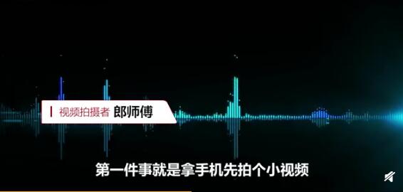 的哥开车偶遇东北虎对视20分钟 现场画面曝光十分惊险的哥的一句话让人笑喷了 的哥开车偶遇东北虎对视20分钟 现场画面曝光十分惊险的哥的一句话让人笑喷了