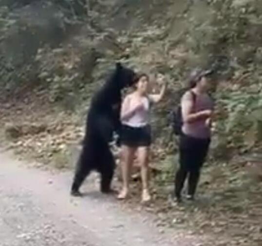 3名女子路遇黑熊被熊抱 下一秒的举动让人震惊