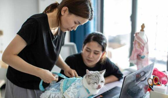 90后女孩给猫做汉服月入7万 事件始末详情介绍