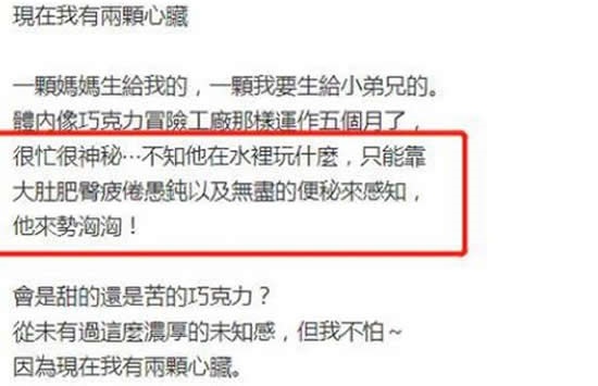 徐佳莹宣布怀孕 其大11岁的导演老公比尔贾个人资料介绍 徐佳莹宣布怀孕 其大11岁的导演老公比尔贾个人资料介绍