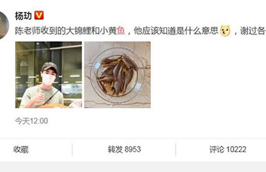 杨玏机场被送鱼什么情况 三十而已中的陈养鱼果然是名不虚传 杨玏机场被送鱼什么情况 三十而已中的陈养鱼果然是名不虚传