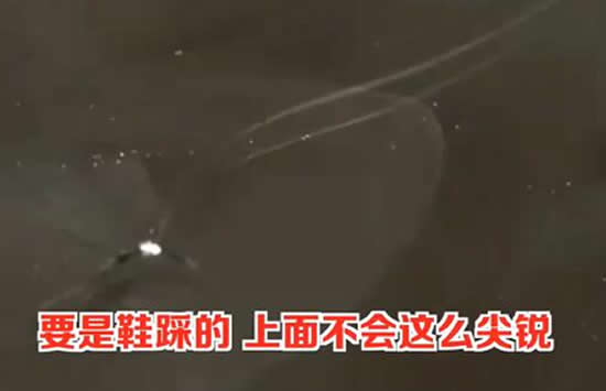 5个熊孩子车顶蹦迪车损1万多 事件始末详情介绍家长的态度让人无语