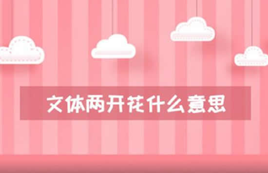 文体两开花是什么意思什么梗 此梗和西游记有什么关系 文体两开花是什么意思什么梗 此梗和西游记有什么关系