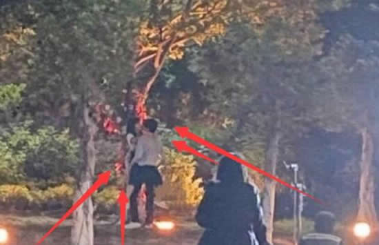 谭松韵宋威龙吻戏被围观 电视剧《以家人之名》好看吗