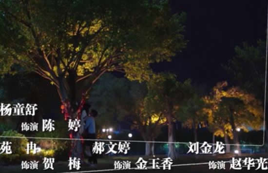 谭松韵宋威龙吻戏被围观 电视剧《以家人之名》好看吗