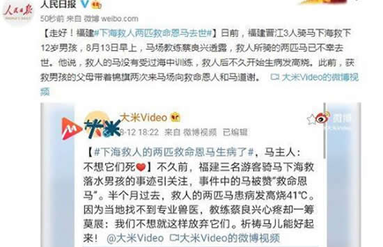 福建下海救人的两匹救命恩马去世 事件背后的真相让人泪目