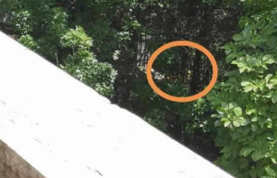 4600万买的别墅院外就是坟头 现场画面曝光令人震惊! 4600万买的别墅院外就是坟头 现场画面曝光令人震惊!