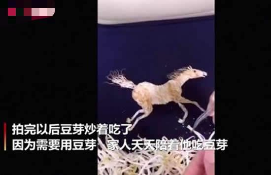 学校厨师用豆芽制作动画片 网友:豆芽炒着吃它不香吗 学校厨师用豆芽制作动画片 网友:豆芽炒着吃它不香吗