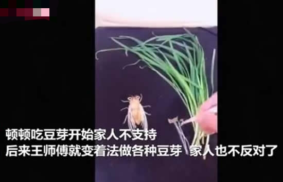 学校厨师用豆芽制作动画片 网友:豆芽炒着吃它不香吗 学校厨师用豆芽制作动画片 网友:豆芽炒着吃它不香吗