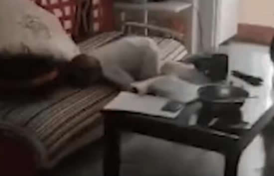 警方透露生父摔死幼童案细节 原来母亲拍摄视频背后另有原因