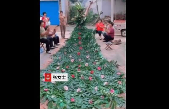 婆婆用树叶做衣服给儿媳村头走秀 网友：婆媳关系好是亮点