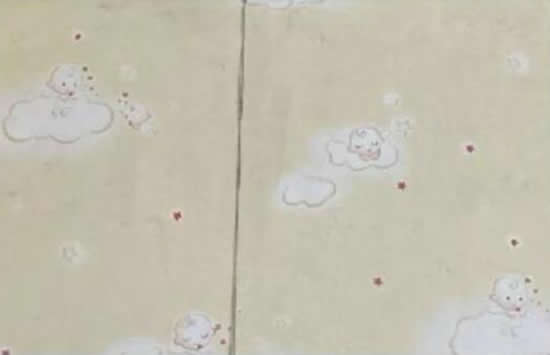 广西女租客发现天花板滴血 事情真相曝光让人惊愕 广西女租客发现天花板滴血 事情真相曝光让人惊愕