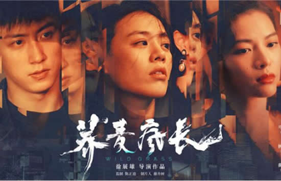 荞麦疯长全部歌曲介绍 主题曲片尾曲插曲介绍