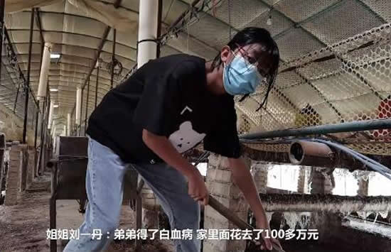 姐姐掏鸡粪救24小时吸氧弟弟 事件背后的故事让人泪目 姐姐掏鸡粪救24小时吸氧弟弟 事件背后的故事让人泪目