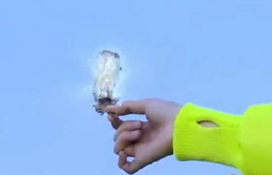 极限挑战嘉宾摘国家二级保护植物 刘宇宁发文回应此事真相来了 极限挑战嘉宾摘国家二级保护植物 刘宇宁发文回应此事真相来了