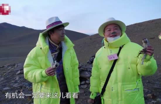 极限挑战嘉宾摘国家二级保护植物 刘宇宁发文回应此事真相来了 极限挑战嘉宾摘国家二级保护植物 刘宇宁发文回应此事真相来了