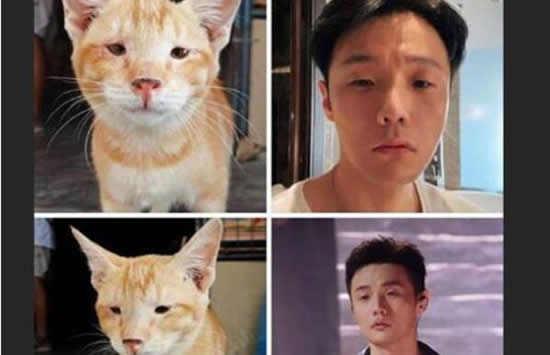 杨丞琳晒狗界李荣浩 网友：爱到深处自然黑