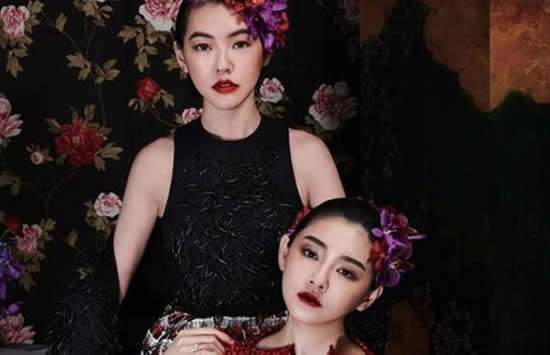 大s和小s是亲姐妹吗 娱乐圈当中的亲姐妹都有哪些