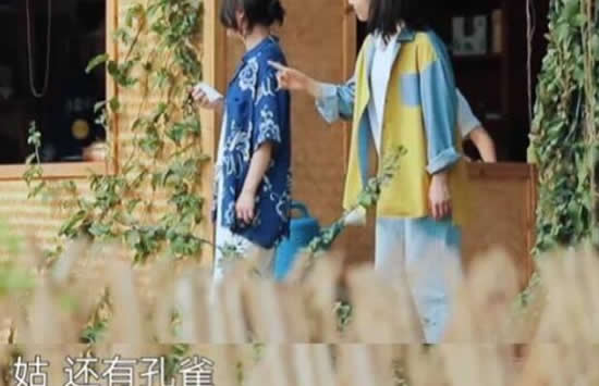 张婧仪个人资料介绍 张婧仪周迅什么关系啊