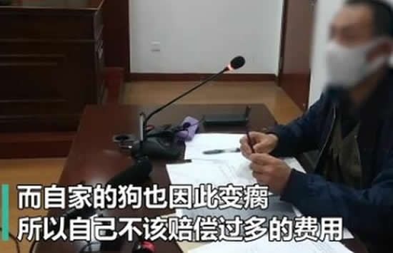 60岁大爷玩轮滑和未牵绳的狗相撞 事件始末详情曝光引争议 60岁大爷玩轮滑和未牵绳的狗相撞 事件始末详情曝光引争议