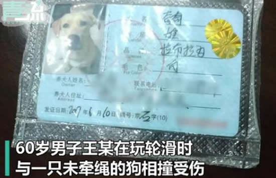 60岁大爷玩轮滑和未牵绳的狗相撞 事件始末详情曝光引争议 60岁大爷玩轮滑和未牵绳的狗相撞 事件始末详情曝光引争议