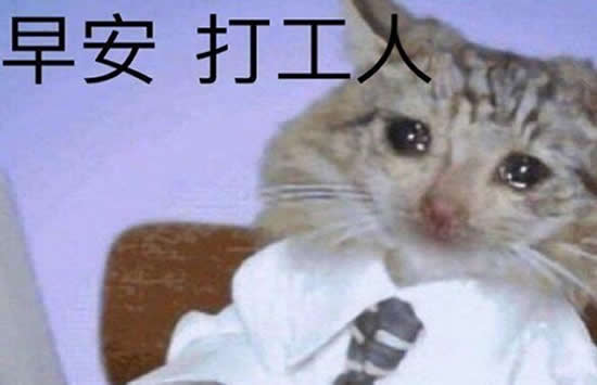 关晓彤说自己是在逃格格 继打工人之后再添新梗