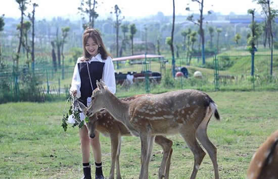 薛佳凝个人资料简介及最新照片写真介绍