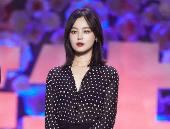 辛芷蕾演过的电视剧有哪些 其中这一部你肯定看过！