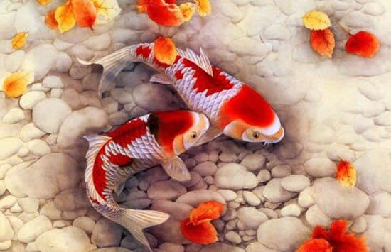 杨超越锦鲤是什么梗 锦鲤是什么意思 杨超越锦鲤是什么梗 锦鲤是什么意思