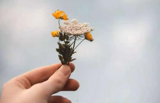 我只有在梦里相依偎是什么歌 歌曲《往事只能回味》演唱者及歌词介绍