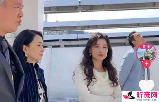 张庭和明道是什么关系 两人是怎么认识的