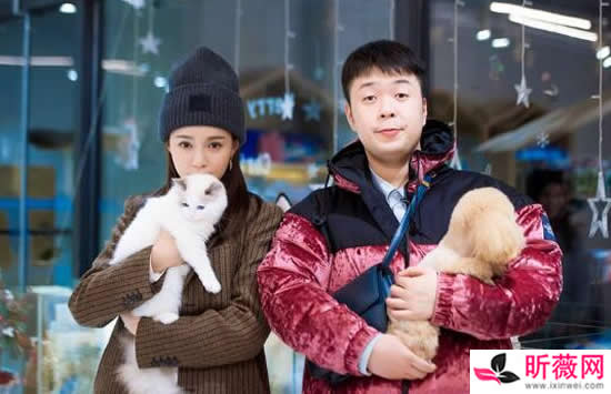 沈梦辰杜海涛什么时候结婚 沈梦辰杜海涛是怎么认识在一起的 沈梦辰杜海涛什么时候结婚 沈梦辰杜海涛是怎么认识在一起的