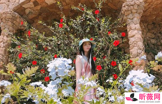 郭碧婷个人资料简介及图片介绍