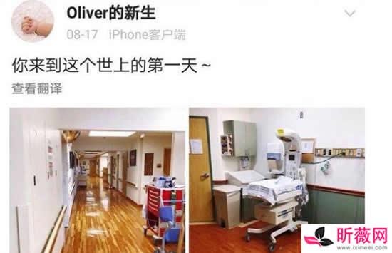 于正结婚了么 于正未婚代孕背后的原因曝光令人震惊