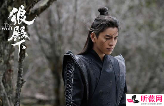 王大陆个人资料简介及图片介绍 王大陆个人资料简介及图片介绍