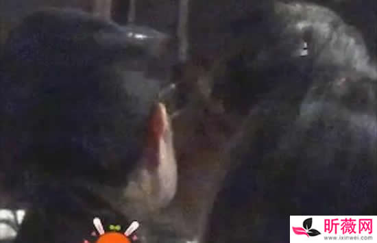 林更新女友是盖玥希真的吗 盖玥希详细资料及照片介绍